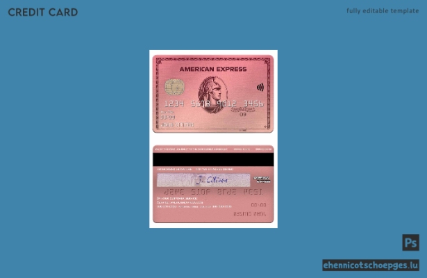 USA Capital One Bank American Express Rose Gold Card Beispielvorschau